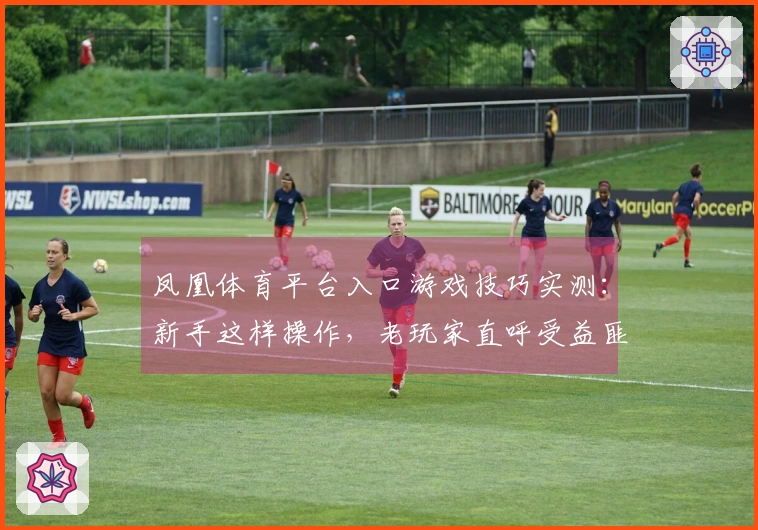 凤凰体育平台入口游戏技巧实测：新手这样操作，老玩家直呼受益匪浅
